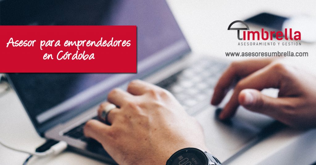asesor para emprendedores